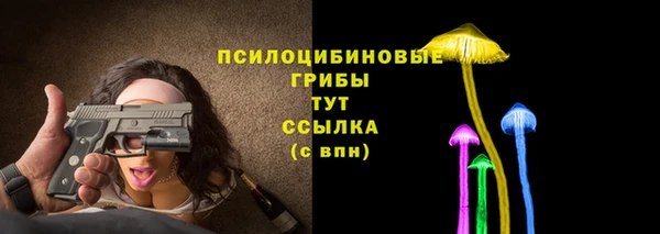ECSTASY Тайга