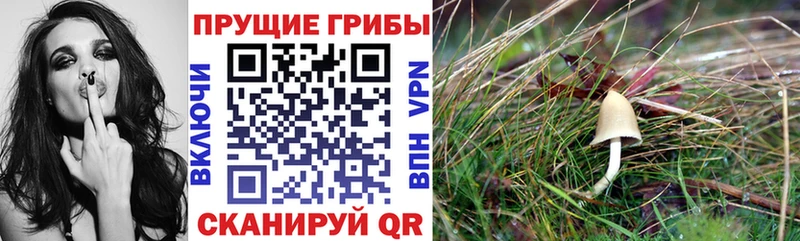 mega ТОР Волчанск Галлюциногенные грибы прущие грибы